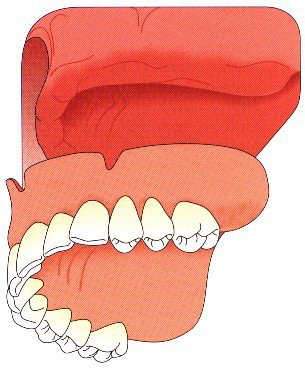 Pchaut2.jpg (48131 octets)